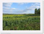 img_1689 * 2592 x 1944 * (2.2MB)