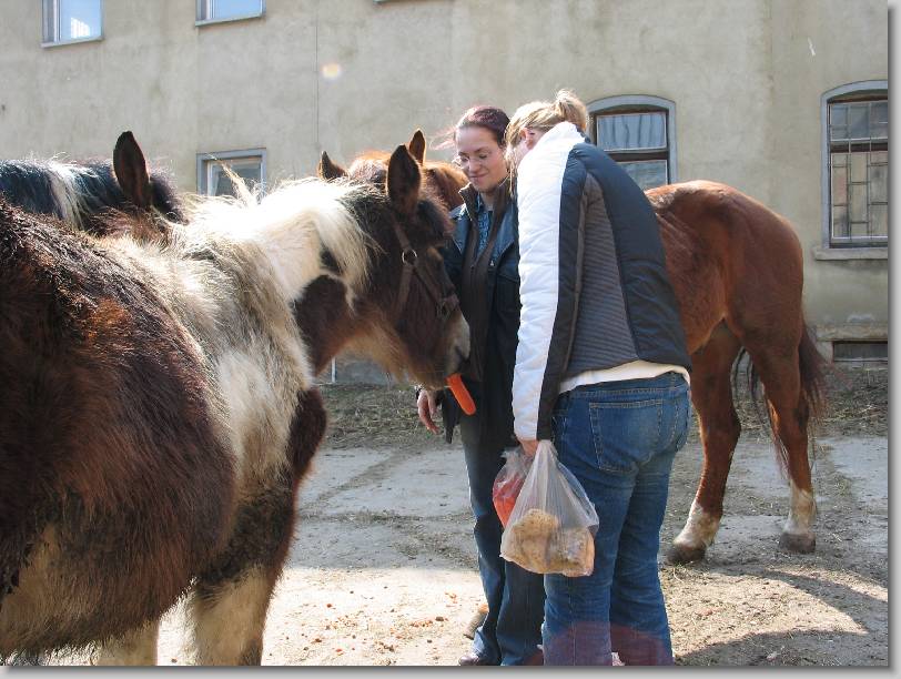 N�chstes Bild