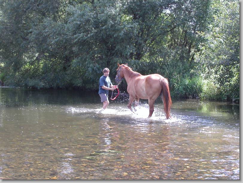 N�chstes Bild