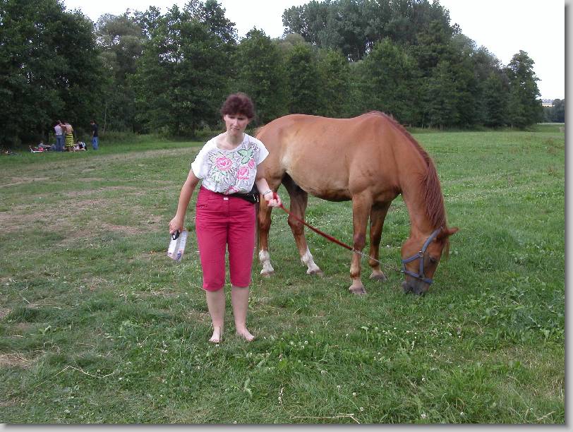 N�chstes Bild