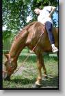 img0074 * 800 x 1200 * (1.17MB)
