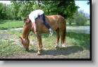 img0075 * 1600 x 1067 * (1.79MB)
