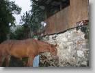 img_0416 * 2592 x 1944 * (1.69MB)