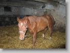 img_0869 * 2592 x 1944 * (1.74MB)