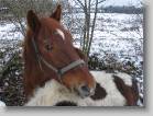img_1125 * 2592 x 1944 * (1.89MB)