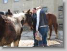 img_1496 * 2592 x 1944 * (1.45MB)