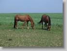 img_1924 * 2592 x 1944 * (1.8MB)