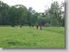 img_1940 * 2592 x 1944 * (1.43MB)