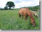 img_1952 * 2592 x 1944 * (2.15MB)