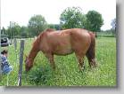 img_1953 * 2592 x 1944 * (1.8MB)