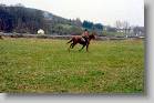 julian_reit5 * 1921 x 1244 * (4.2MB)