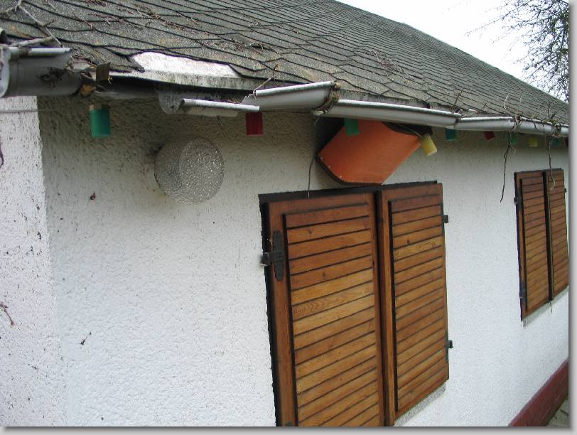 N&auml;chstes Bild