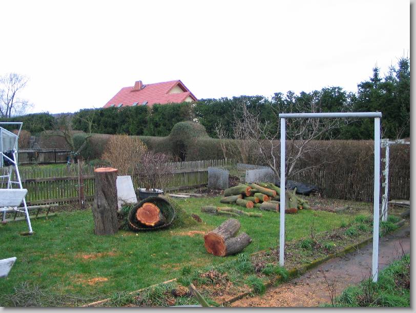 N&auml;chstes Bild