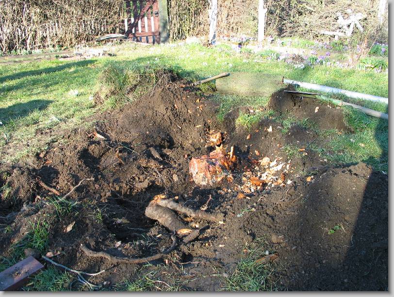 N&auml;chstes Bild