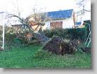 img_0125 * 2592 x 1944 * (3.14MB)