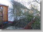 img_0126 * 2592 x 1944 * (3.2MB)