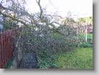 img_0127 * 2592 x 1944 * (3.5MB)