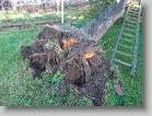 img_0129 * 2592 x 1944 * (4.19MB)