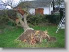 img_0132 * 2592 x 1944 * (3.18MB)