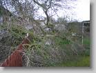 img_0135 * 2592 x 1944 * (3.22MB)
