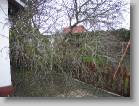 img_0136 * 2592 x 1944 * (3.4MB)