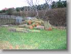 img_0144 * 2592 x 1944 * (3.2MB)