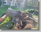 img_0168 * 2592 x 1944 * (3.13MB)