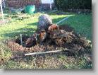 img_0169 * 2592 x 1944 * (3.89MB)