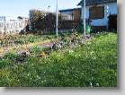 img_0170 * 2592 x 1944 * (3.81MB)