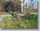 img_0171 * 2592 x 1944 * (4.55MB)