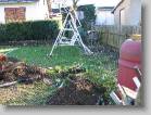 img_0172 * 2592 x 1944 * (3.46MB)