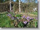img_0173 * 2592 x 1944 * (4.4MB)