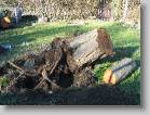 img_0175 * 2592 x 1944 * (3.95MB)