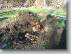 img_0177 * 2592 x 1944 * (4.13MB)
