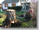 img_0178 * 2592 x 1944 * (3.53MB)