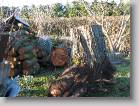 img_0181 * 2592 x 1944 * (3.7MB)