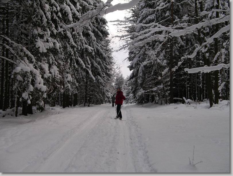 N�chstes Bild