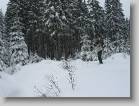 img_1396 * 2592 x 1944 * (1.72MB)